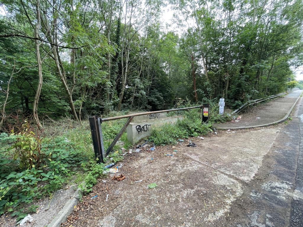 Lot: 94 - GRAZING AND WOODLAND EXTENDING TO OVER FOUR ACRES -